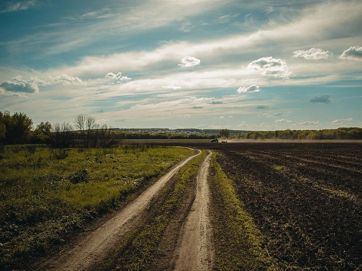 Hayride Routes Through Fields
