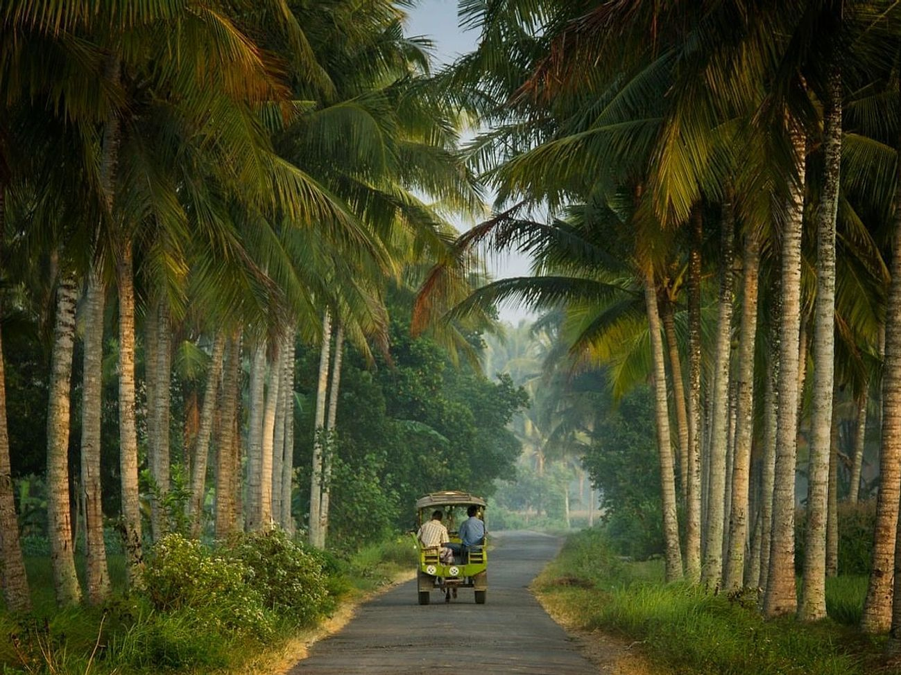 Orchard Picking Routes Through Rural Regions